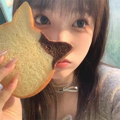 萌犬好声音4