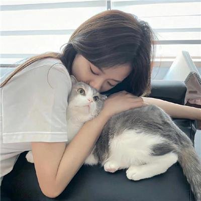 金殿福星